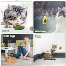 Hereveoyuncak Avokado Tasarımlı Kedi Yalama Toopu