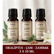 E.M.S Okaliptus Çam Kokusu Zambak Esansiyel Uçucu Yağ Buhurdanlık Yağı Difüzör Esansı Ortam Kokusu
