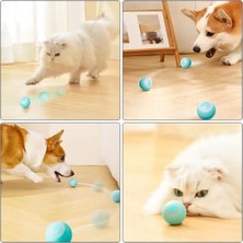 Hace Bazaar Interaktif Kedi Köpek Şarjlı Oyun Topu