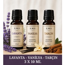E.M.S LAVANTA - VANİLYA - TARÇIN  Esansiyel Uçucu Yağ Buhurdanlık Yağı Difüzör Esansı Oda Kokusu Esansı MUM ESANSI 3 X 10 ML.