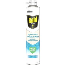Raid Pure Böcek Dondurucu Sprey 300 ml