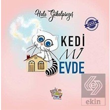 Yağmur Çocuk Yağmur Kedi Mi Evde