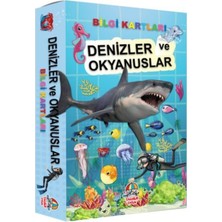 Yağmur Çocuk Yağmur Bilgi Kartları - Denizler ve Okyanuslar