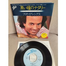 Plakperest Julıo Iglesıas  -Nathalie / La Paloma  1982 Japonya Basım 45LIK Plak - Dönem Basım