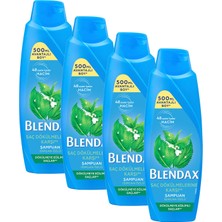 Blendax Dökülmeye Eğilimli Saçlar Için Isırgan Özlü Şampuan 500 ml 4 Lü