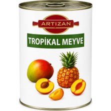 Artizan Artızan Tropikal Meyveli Dolgu 2,7 kg