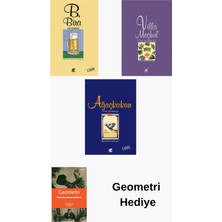 Ayrıntı Yayınları Tom Robbins 3 Kitap Seti + Geometri Hediye