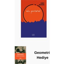 Everest Yayınları Acı Portakal + Geometri Hediye