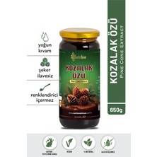 NutriBio Kozalak Özü 650GR - Şeker Ilavesiz , Yoğun Kıvam , Renklendirici Içermez