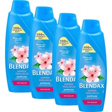 Blendax Mat Saçlar Için Kiraz Çiçeği Özlü Şampuan 500 ml 4 Lü