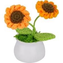 Ozkr Store Fl-3 12Lİ Kroşe Örgü Ayçiçeği -Birliktoys