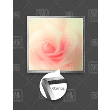 SML Tablo Pembe Gül Modern Dekoratif Kare Çerçeveli Kanvas Tablo