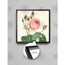 SML Tablo Pembe Açmış Gül ve Tomurcukları Kare Çerçeveli Kanvas Tablo