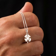 Ebrar Silver Gümüş 4 Yapraklı Yonca Kolye 925 Ayar Gümüş Yonca Figürlü Unisex Kolye