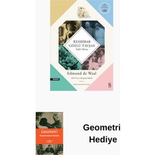 Everest Yayınları Kehribar Gözlü Tavşan - Saklı Miras + Geometri Hediye
