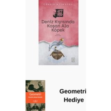 Ketebe Deniz Kıyısında Koşan Ala Köpek + Geometri Hediye