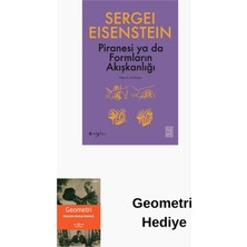 Ketebe Piranesi Ya Da Formların Akışkanlığı - Minyatür + Geometri Hediye