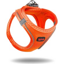 Empressco Air-Mesh Küçük ve Orta Irk Kedi Köpek Göğüs Tasması Yumuşak, Nefes Alabilir, Dayanıklı Neon Turuncu