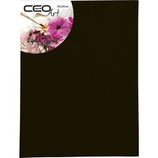 Ceoart Siyah Tuval 35X50 cm