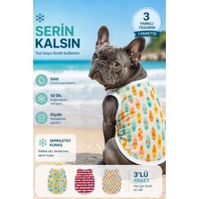 Empressco Serinletici Köpek Atleti, 3'lü Avantajlı Paket