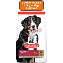 Hill's Science Plan Hill's Scıence Plan Kuzulu ve Pirinçli Büyük Irk Yetişkin Köpek Maması 12 kg (+2 kg Hediyeli)