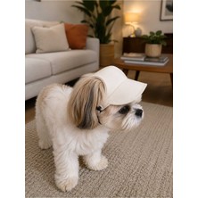 Empressco Premium Kedi ve Köpek Şapkası - Ayarlanabilir Lastikli, Üst Kalite Evcil Hayvan Aksesuarı