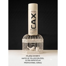 CAXCOLORS Cax Isıya Dayanıklı Petek ve Radyatör Akrilik Sprey Boya 400ML - Hızlı Kuruyan Sararmaz