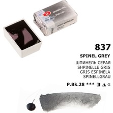 St. Petersburg White Nights Extra-Fine Tam Tablet Sulu Boya 2.5 ml Spinel Grey 837