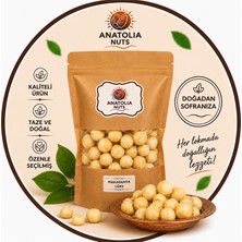 Anatolia Nuts Makademya Fındığı Içi – Kabuksuz Macadamia Kuruyemiş