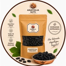 Anatolia Nuts Çekirdeksiz Siyah Özbek Üzümü – Kuru Siyah Üzüm