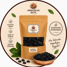 Anatolia Nuts Çekirdekli Siyah Kuru Üzüm – Kurutulmuş Üzüm