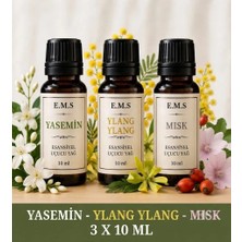 E.M.S YASEMİN - YLANG YLANG - MİSK Esansiyel Uçucu Yağ Buhurdanlık Yağı Difüzör Esansı Oda Kokusu Esansı MUM ESANSI 3 X 10 ML.