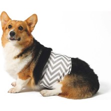 M-Pets Erkek Köpekler Için Yıkanabilir Külot (Xxl)
