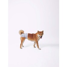 M-Pets Dişi Köpekler Için Yıkanabilir Külot (M)