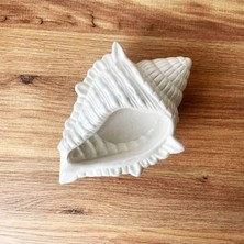 Belirtilmemiş Deniz Kabuğu Palo Santo Seramik Tütsülük Inci Rengi Döküm Seramik Tozu El Boyaması
