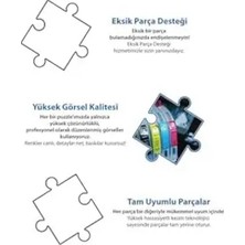 4moms Sahil Yolu 1000 Parça 2