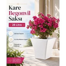 Hep İndirimli 38CM Kare Begonvil Beyaz Saksı - 28 Litre Beton Görünümlü Plastik Saksı Drenaj Izgaralı Çiçek Saksısı