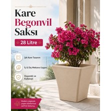 Hep İndirimli 38CM Kare Begonvil Bej Saksı - 28 Litre Beton Görünümlü Plastik Saksı Drenaj Izgaralı Çiçek Saksısı