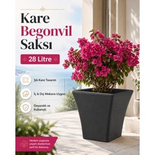 Hep İndirimli 38CM Kare Begonvil Gri Saksı - 28 Litre Beton Görünümlü Plastik Saksı Drenaj Izgaralı Çiçek Saksısı