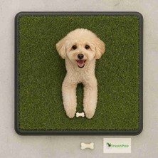 Reenpee Köpek Tuvaleti Çimli Büyük 61×81 cm