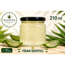 Alovia 210 ml Aloe Vera Jel – Doğal Saf Taze ve Katkısız Aloe Vera Jeli