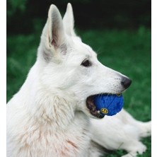 Hereveoyuncak Sesli Kedi Köpek Mama Bulma Oyuncaağı