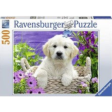 500 Parça Yapboz Retriever