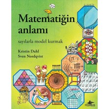 Matematiğin Anlamı: Sayılarla Model Kurmak