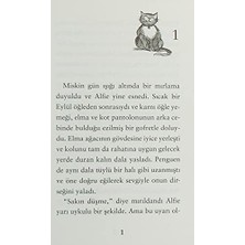 Penguen Adında Bir Kedi