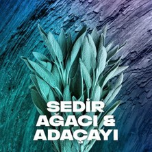 Erkek Sprey Deodorant Apollo 48 Saat Etkileyici Koku Vücut Spreyi 150 ml