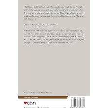 Kediler Güzel Uyanır