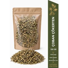 Natvera Çoban Çökerten 100 G – Kurutulmuş Tribulus Terrestris – Doğal Bitkisel Ürün