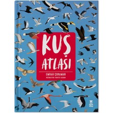 Taze Kitap Kuş Atlası