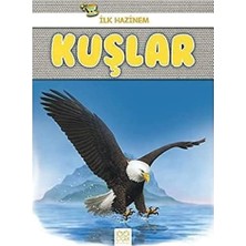 1001 Çiçek Kitaplar Kuşlar - Ilk Hazinem